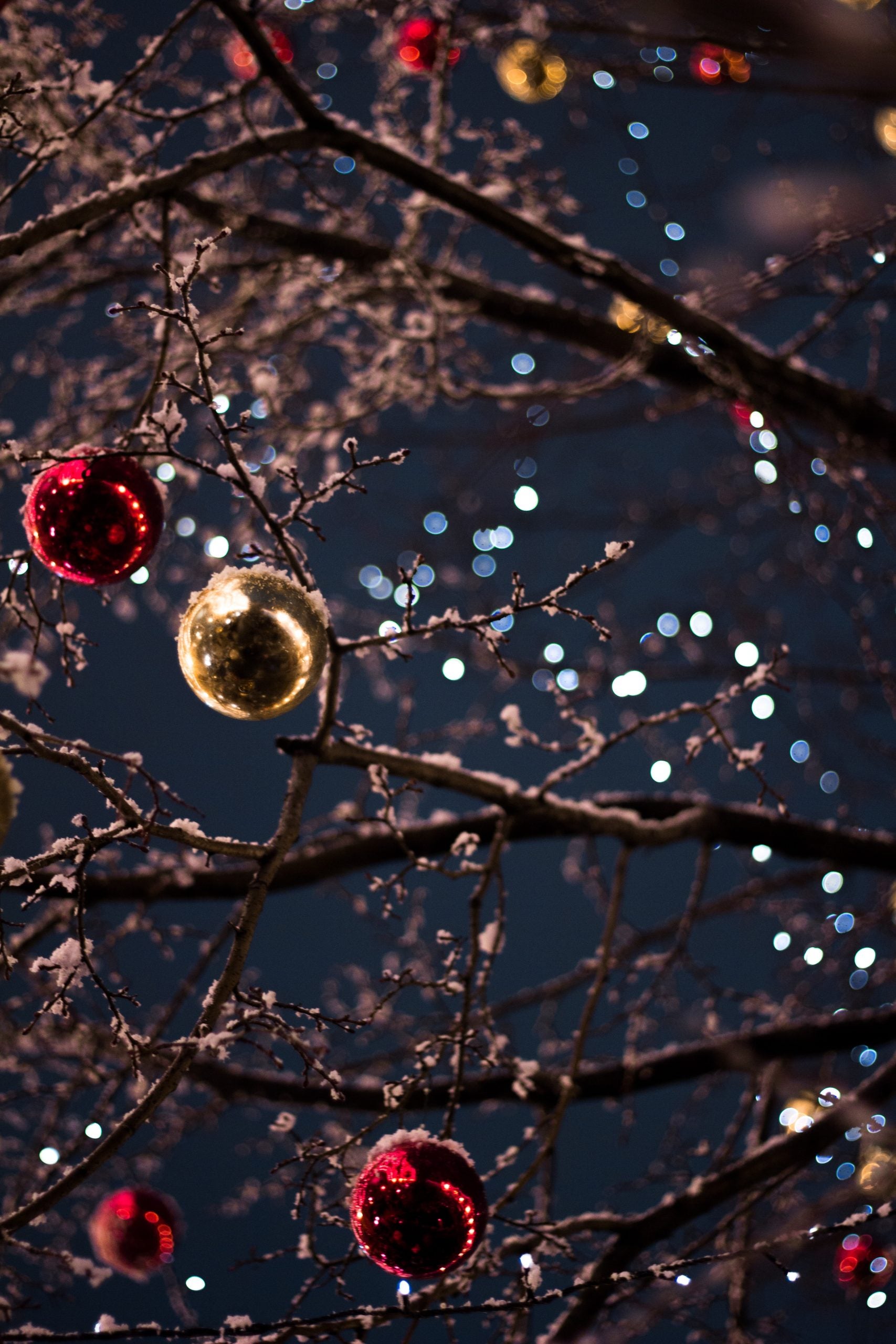 Christmas tree lights