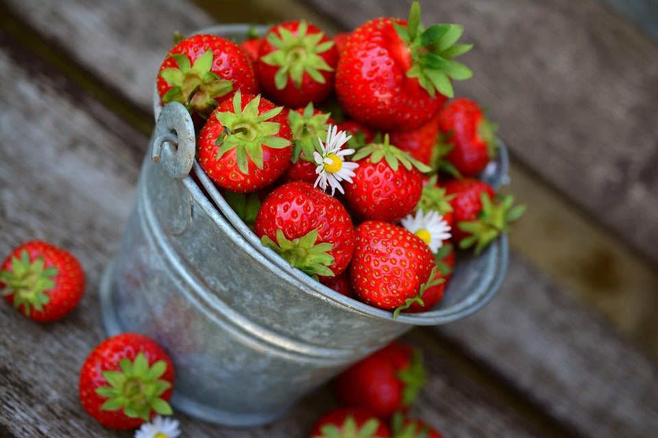 3 Fun Spring Activities You Can Drive to Near Garrettsville, OH