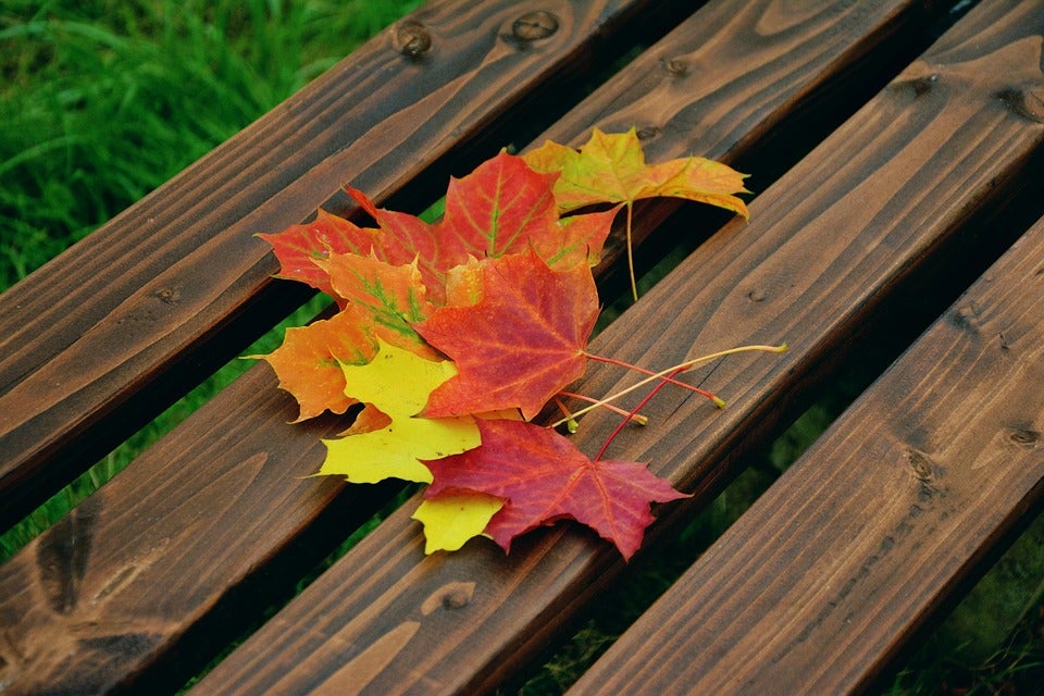Discover Nature With Your Chevy: 4 State Parks Near Garrettsville, OH
