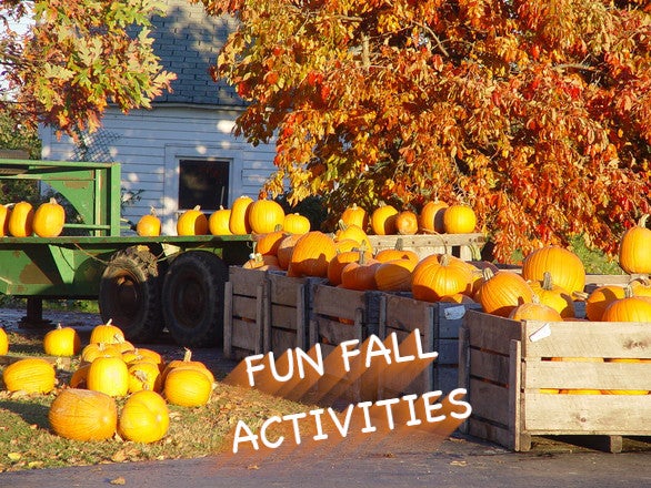 Fun Fall Activities