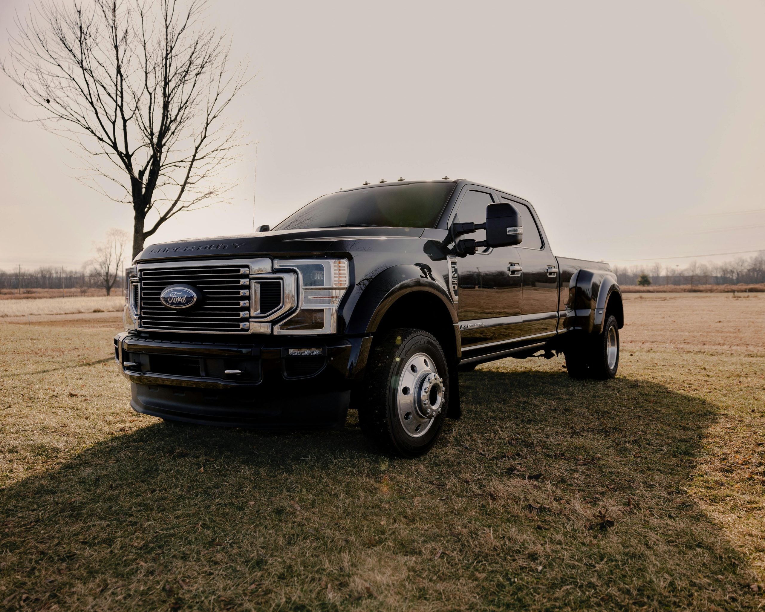 White Ford F 150 Crew Cab Pickup Truck on Grass Field