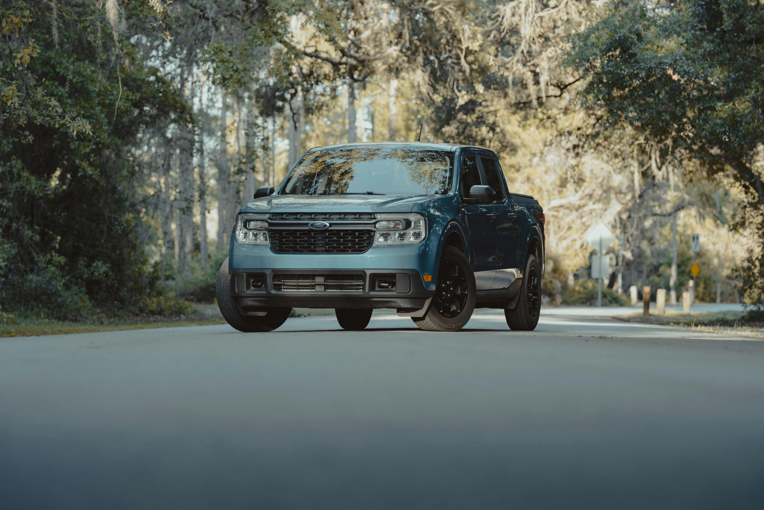 Truck Car on Road in Forest