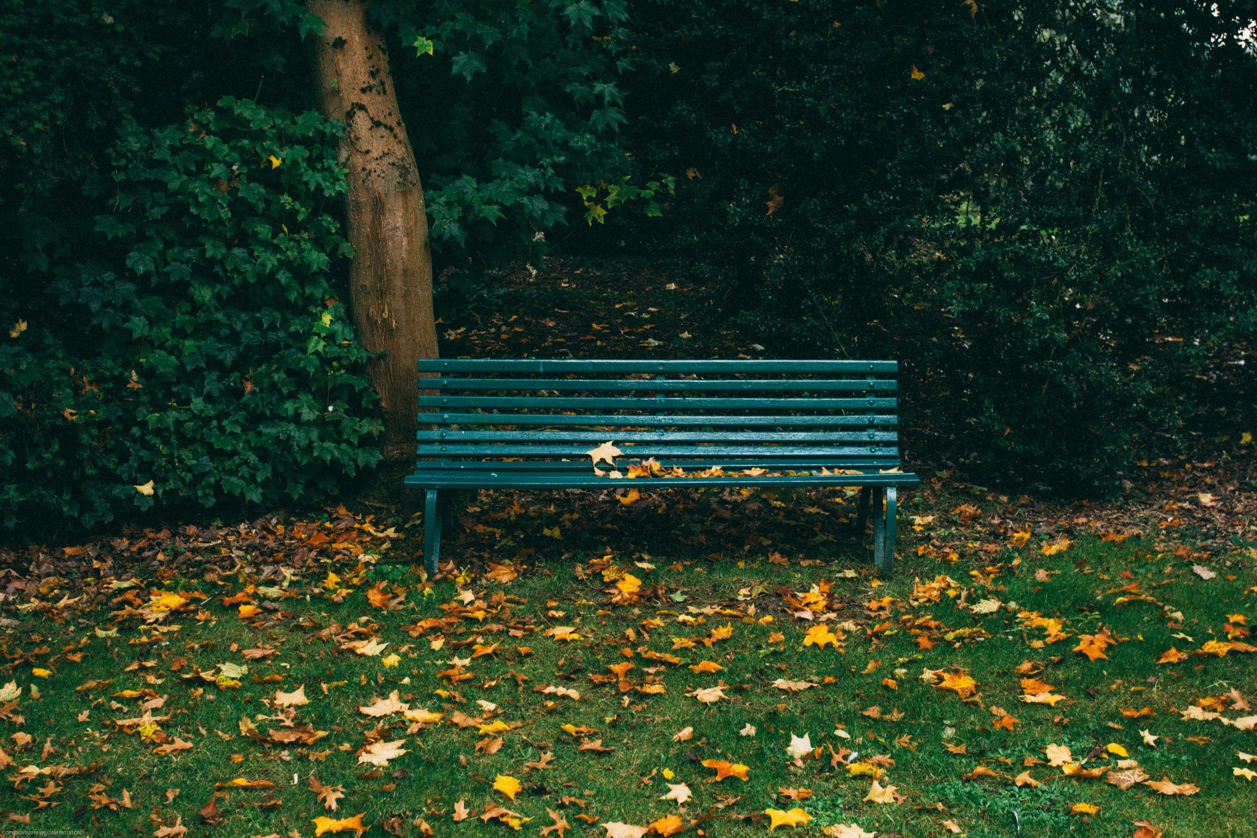 will-paterson-zb13N8EDjGE-unsplash