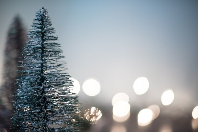 Green Christmas tree with boke lights background