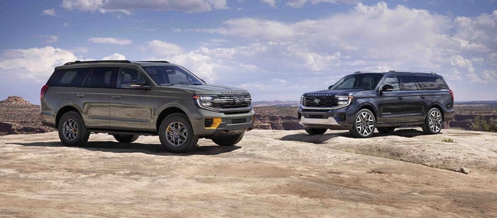 2 Ford Expeditions parked on rocks