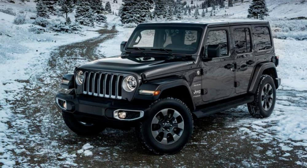 A black 2020 Jeep Wrangler Unlimited parked on a trail after visiting a used car dealership.