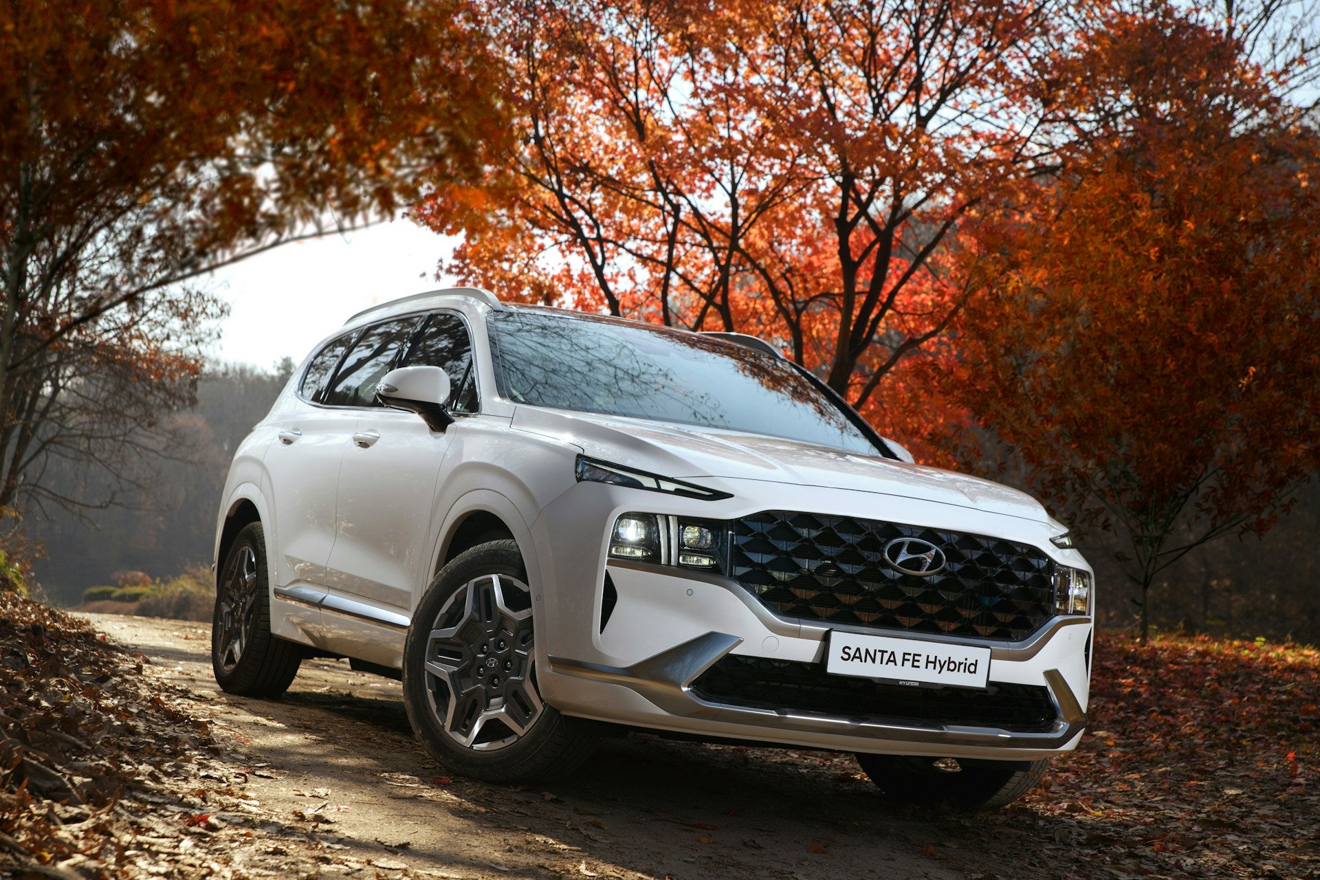New Hyundai
