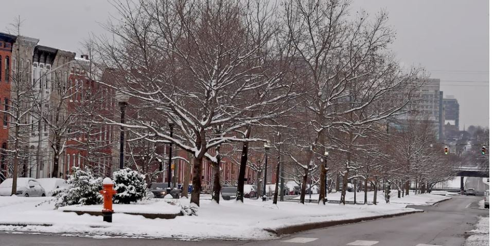 snowy conditions