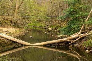 3 Unique Attractions in Anderson, Indiana