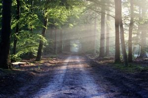 4 Reasons to Visit Mounds State Park 