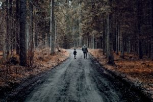 4 Favorite Local Hiking Trails Near Anderson, IN