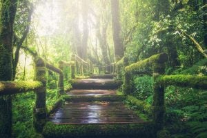 3 Amazing State Parks in Driving Distance of Anderson, IN