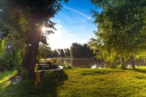 Take the Honda and Discover These 3 Great State Parks Near Indianapolis