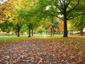 3 Fantastic Outdoor Parks in and Around Indianapolis, IN 