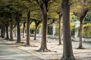 3 Favorite Local Parks in Driving Distance of Indianapolis, IN