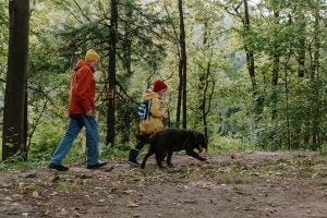 3 Favorite Hiking Trails and Paths Near Carmel, IN
