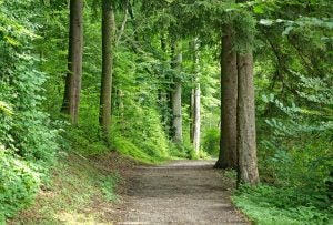 5 Trails to Tackle in Indianapolis