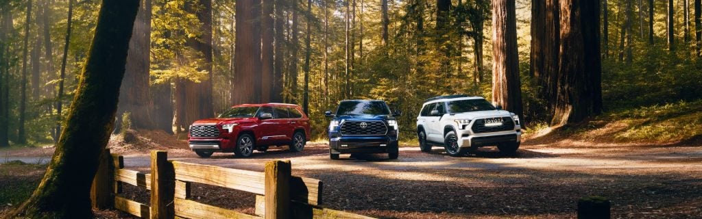 Three Toyota SUVs parked on a forest road surrounded by tall redwood trees.