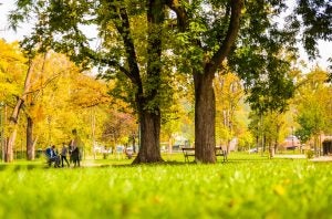 6 Great Parks in Noblesville, IN | Indianapolis Toyota Dealer | Ed Martin Toyota