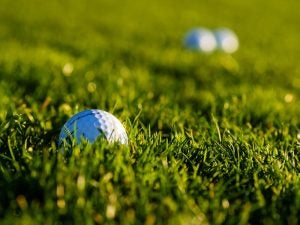 6 Golf Courses Near Noblesville, IN