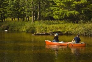 Where to Spend a Great Day With the Family in Hamilton County, Indiana
