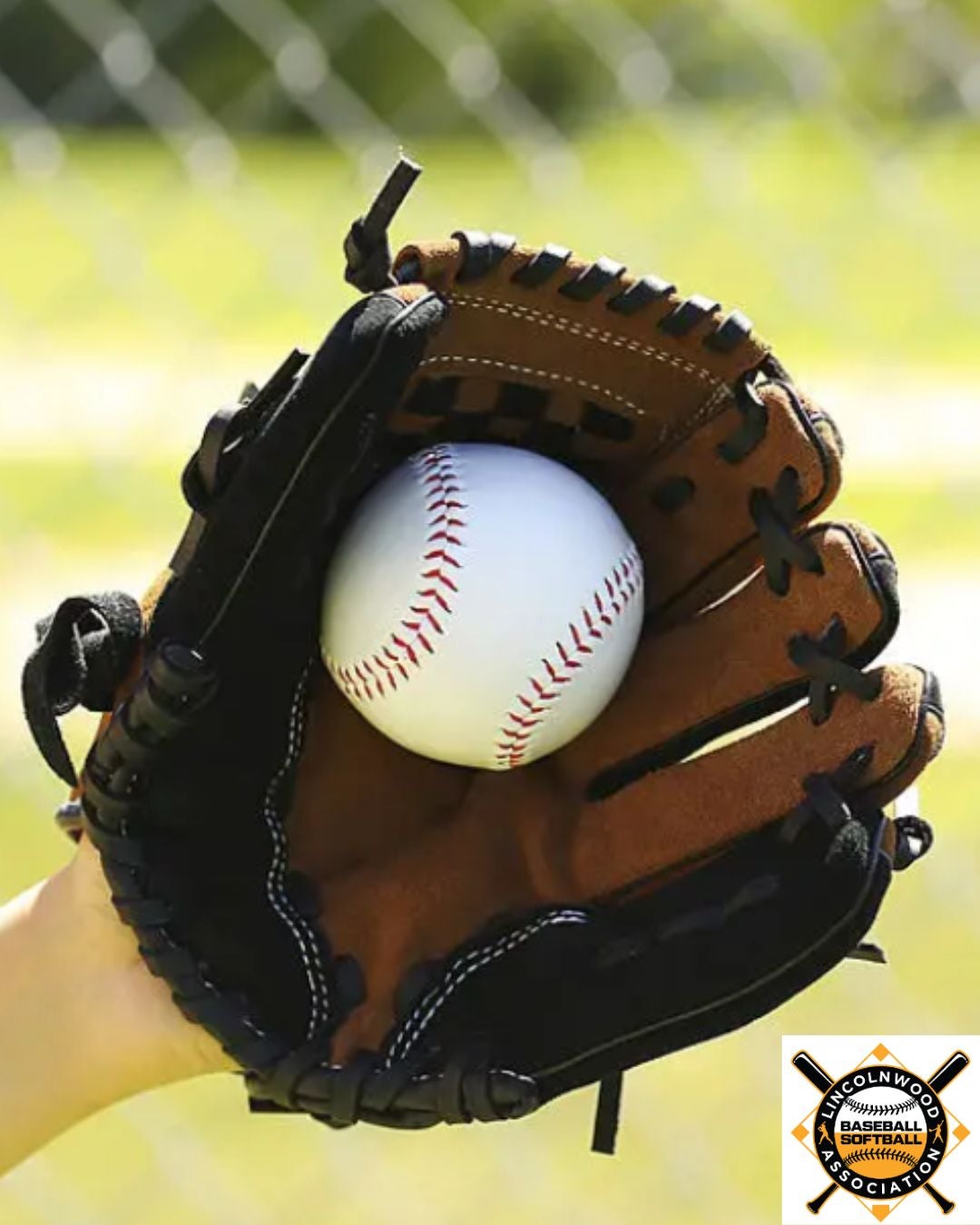 Loeber Motors Supports Lincolnwood Baseball Association