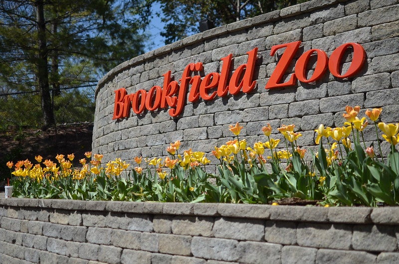 Brookfield Zoo entrance sign at a summer destination in Chicagoland.