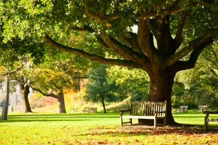 Make the Drive: 3 Tourist Attractions Near Lincolnwood, IL