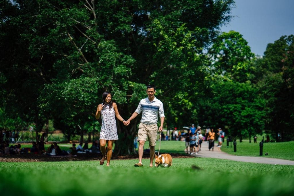 5 Local Parks Nea Lincolnwood, IL