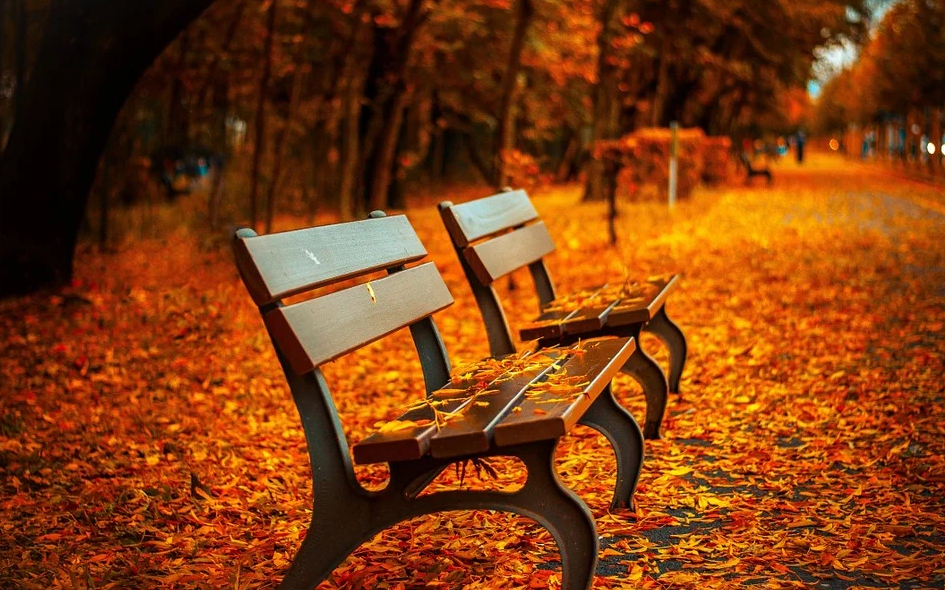 Fall in Western PA
