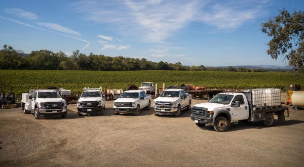 Ford Pro Elite Commercial Service