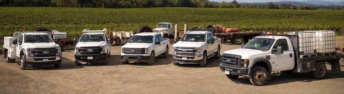 Ford Pro Elite Commercial Service