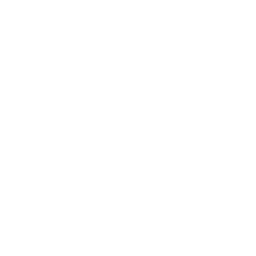 20% Off Service Icon