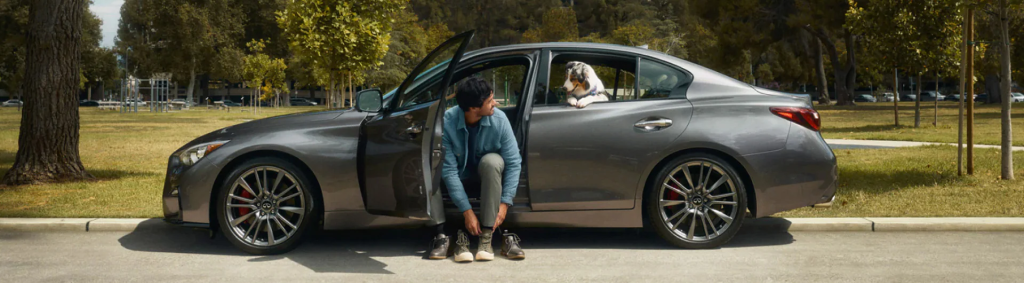 2024 Infiniti Q50 lifestyle photography with a dog in the car