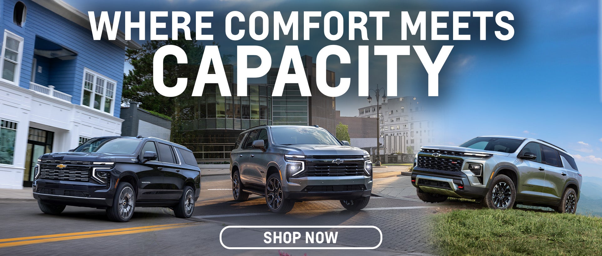 Vehicles for Large Families