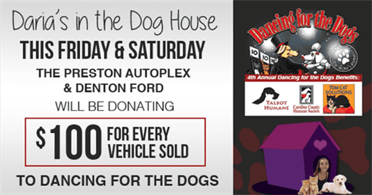 Dancing for the dogs with daria wilson