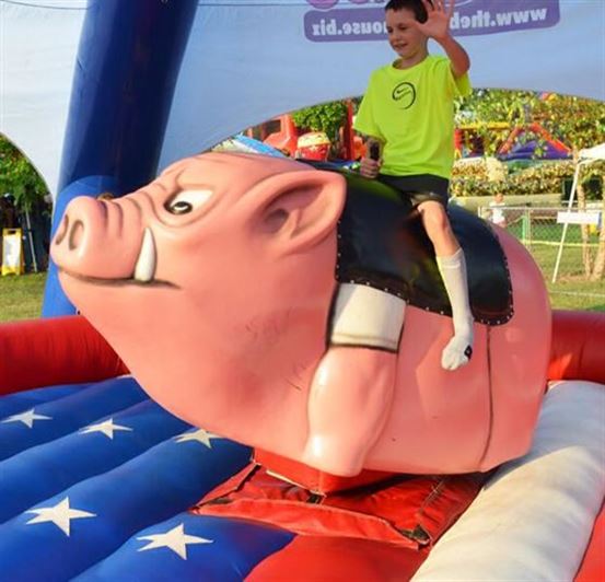 pig and a jig bbq festival snow hill md