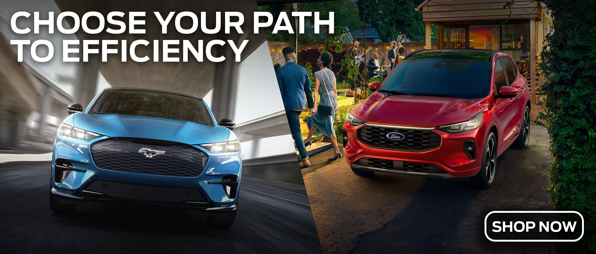 Hybrid vs Electric Cars