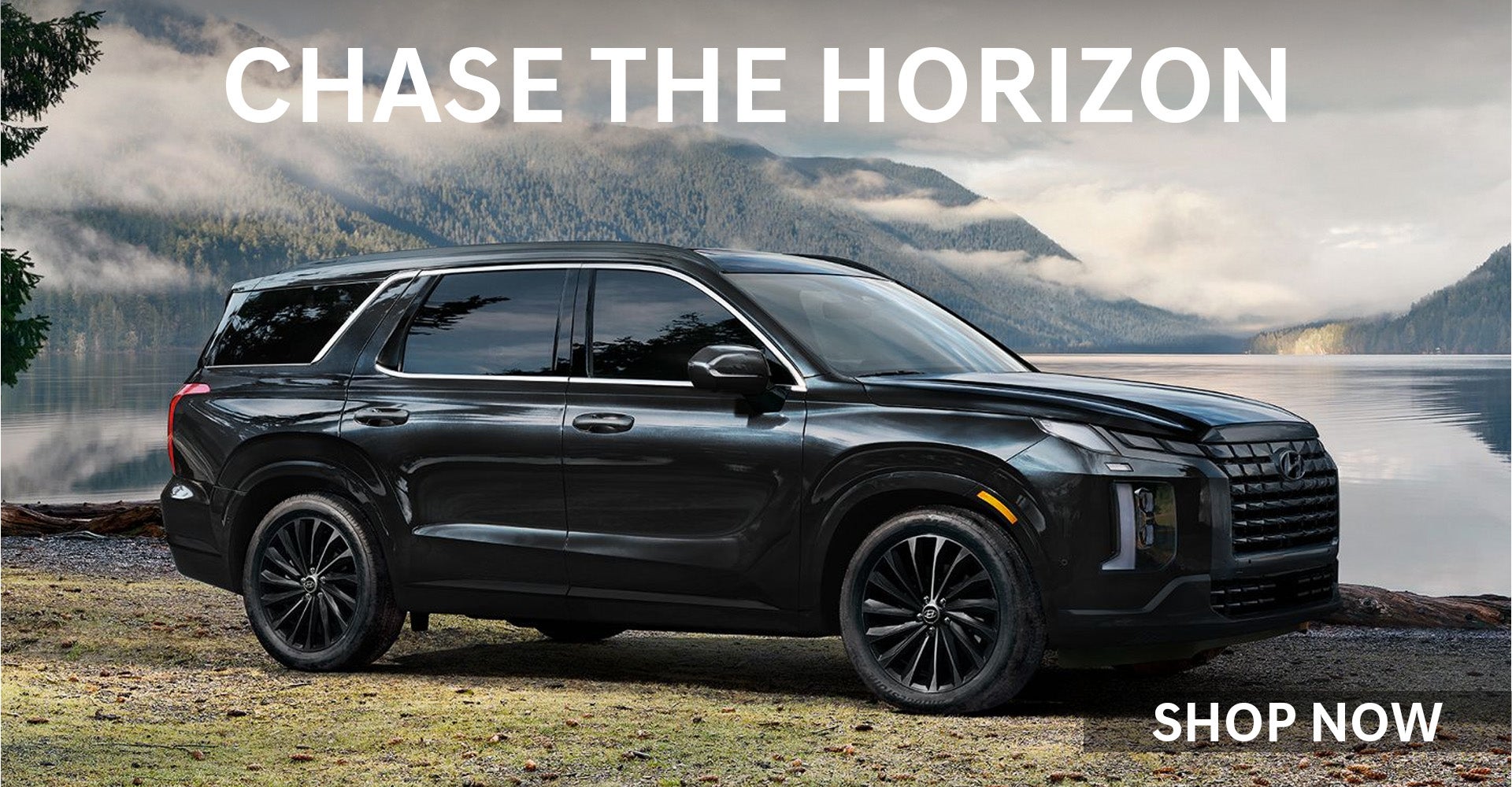 Hyundai Palisade Calligraphy Night Edition