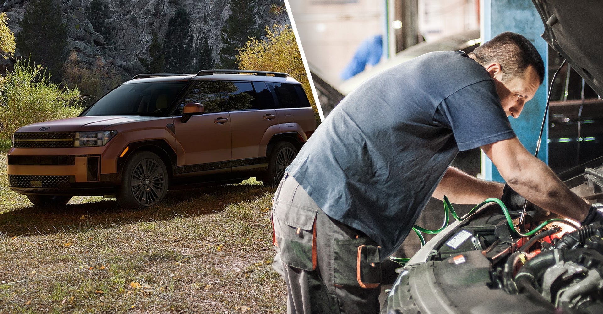 Hybrid Repair Cost