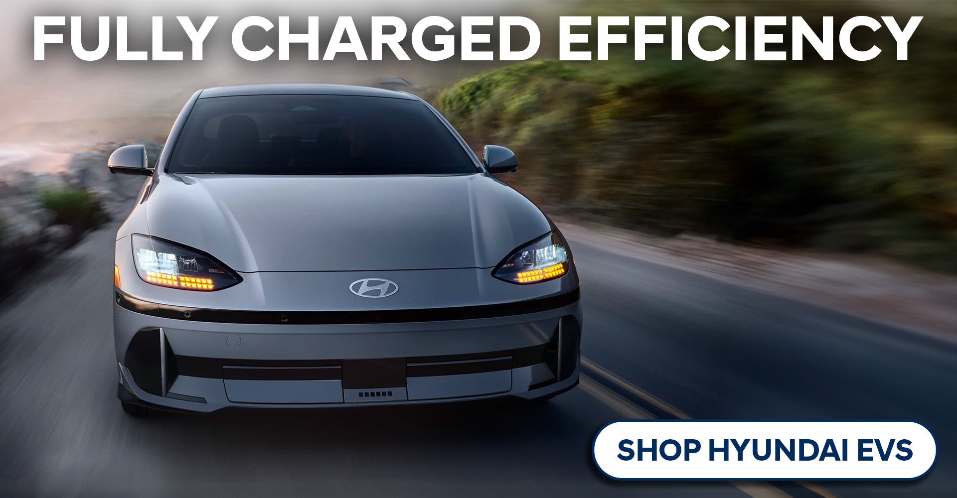 Hyundai EV Range