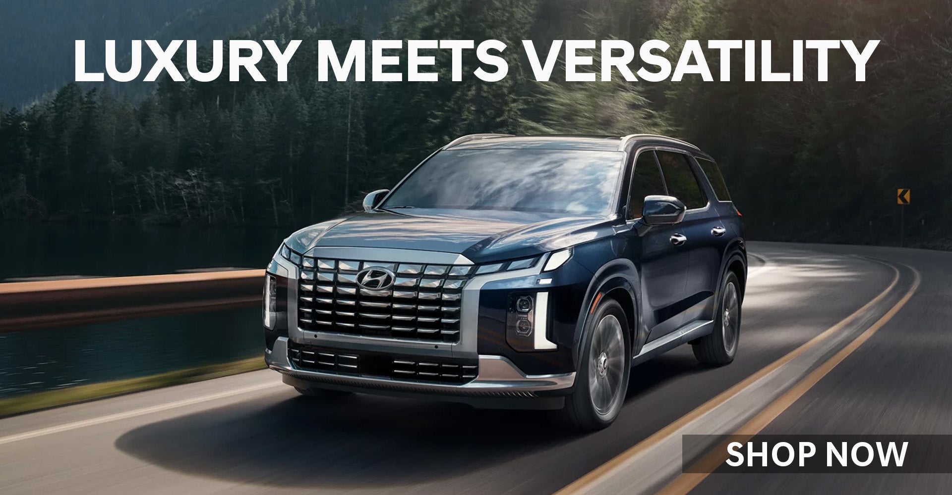 Hyundai Palisade Cost
