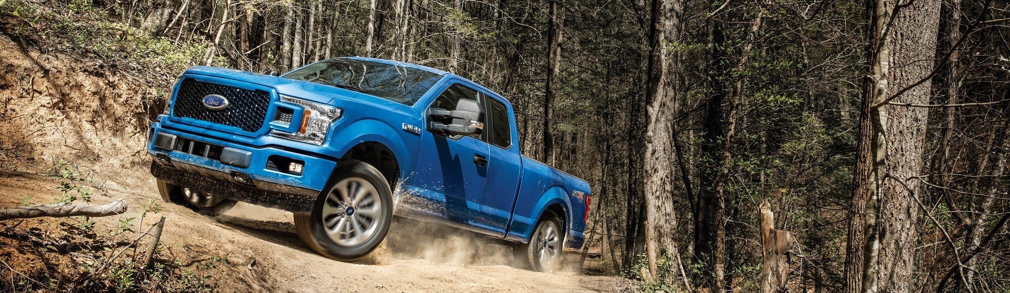 Used Ford F-150
