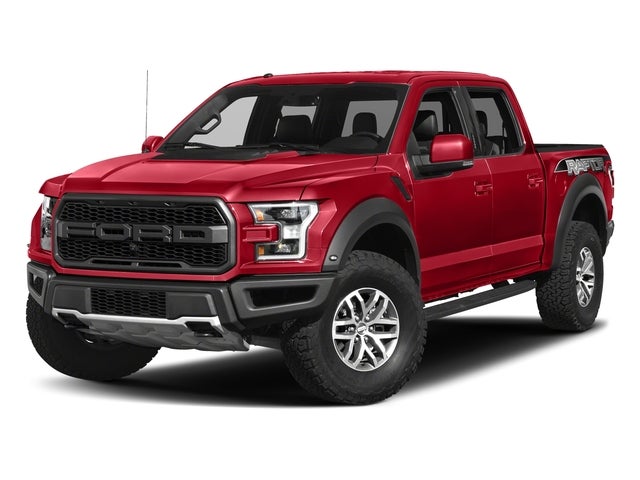 raptor