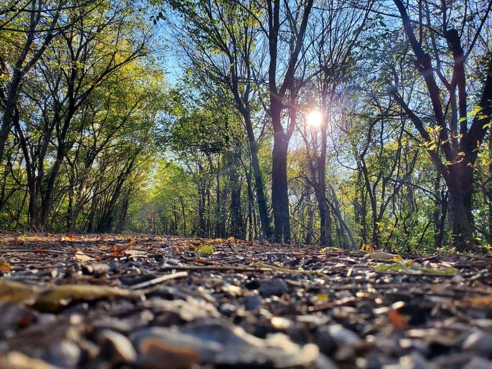 a calming spot in the woods near Joplin Missouri