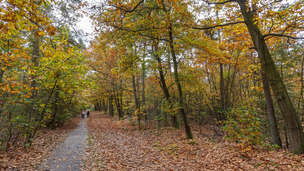 6_Great_Bike_Paths_and_Trails_Near_Fridley_MN_Friendly_Chevrolet
