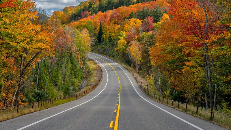 Fall in the Northland | Northern Wisconsin | Northern Minnesota | Autumn Leaves