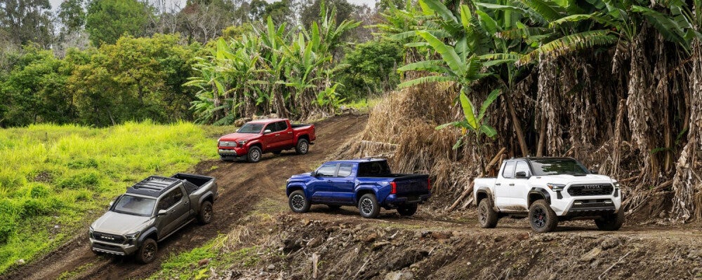 2024 Toyota Tacoma Making a Debut on the Big Island in Hawaii