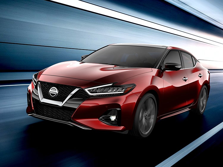 maxima 19