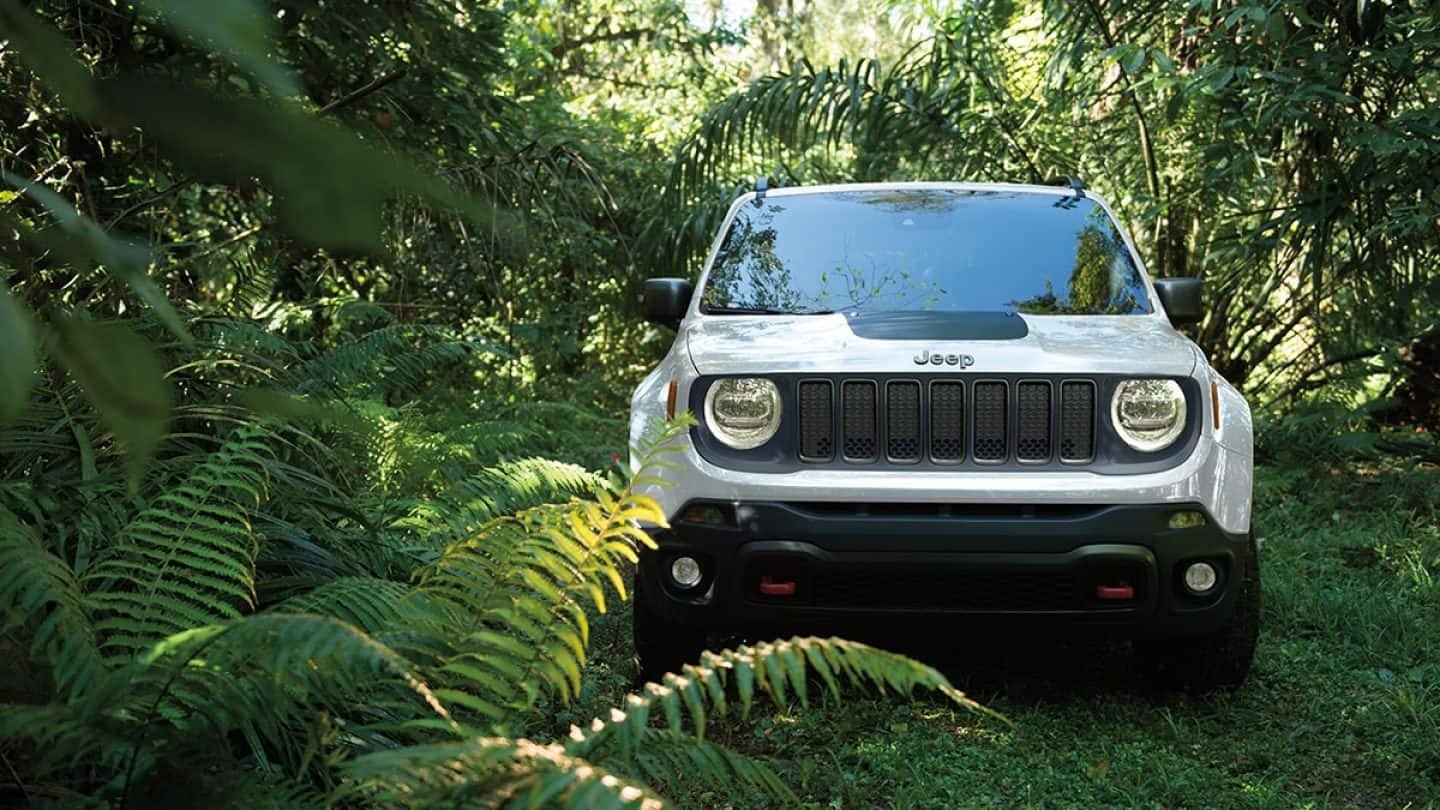 renegade trailhawk 19